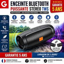Enceinte Bluetooth Puissante Stro TWS - Radio FM USB TF - Garantie 5 Ans